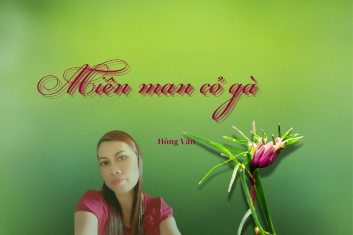 mien-man-co-ga