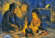 Cơm nắm muối vừng