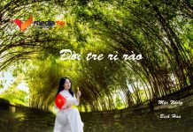 Đời tre rì rào