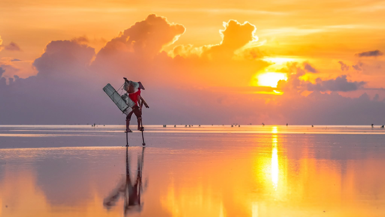 Người đi về phía biển